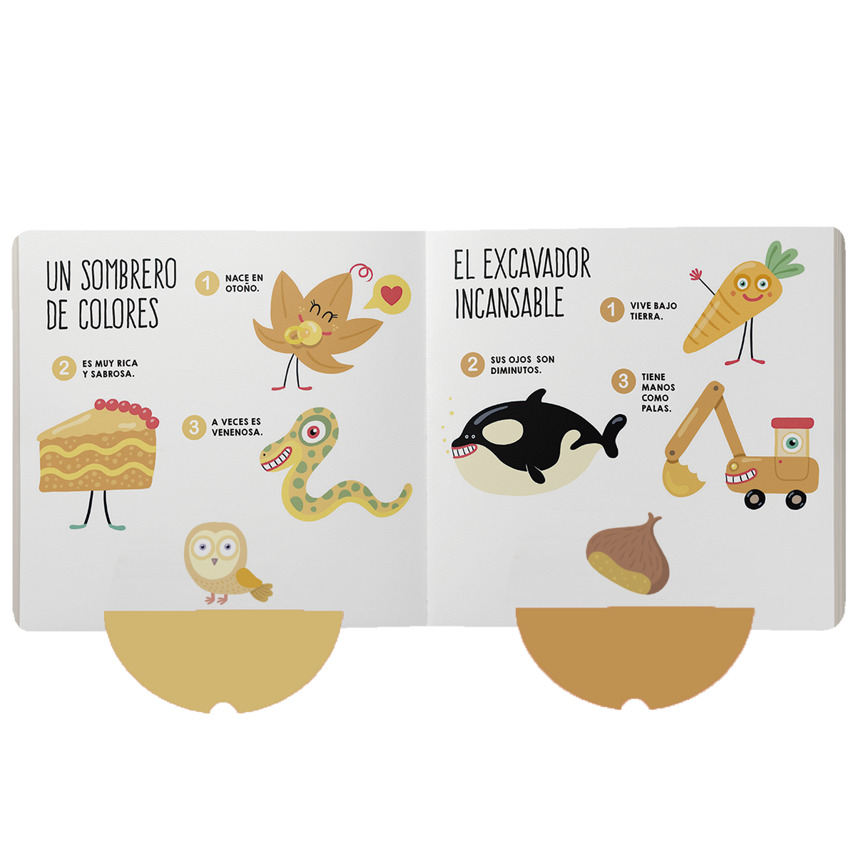 Minienigmas del bosque
