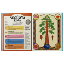 Superpoderes De Las Plantas