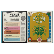 Superpoderes De Las Plantas