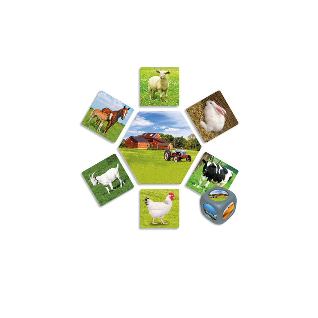 ¿Dónde viven los animales?