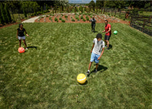 Wicket Kick: Giant Kick Croquet