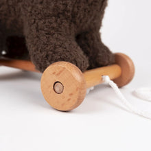 Raoul the Pull-Along Bear
