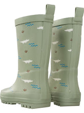 Rainboots Crocodile (3 tallas)