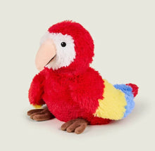 Parrot Warmies