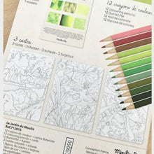 12 lápices de colores + tarjetas El jardín del molino