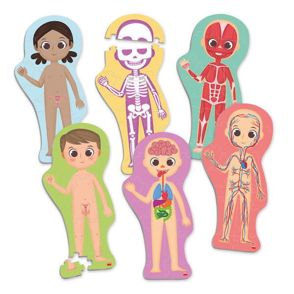 Maxi-puzle Descubre e identifica el cuerpo humano