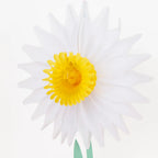 Honeycomb Flower Decorations