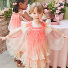 Fairy Costume Age 3-4