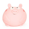 Jumbo Squishy Pig