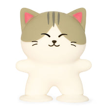 Stuck Cat Sensory Toy ( 3 colores)