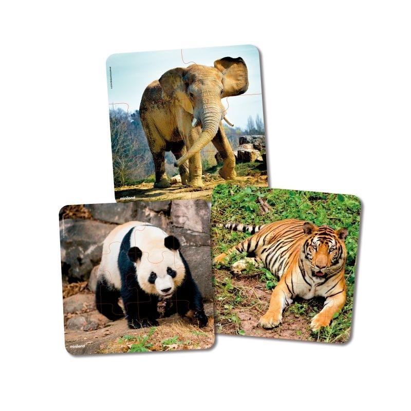 Set 3 Puzzles  Pro: Animals  Uv