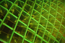 Morf Fidget Worm Green Small