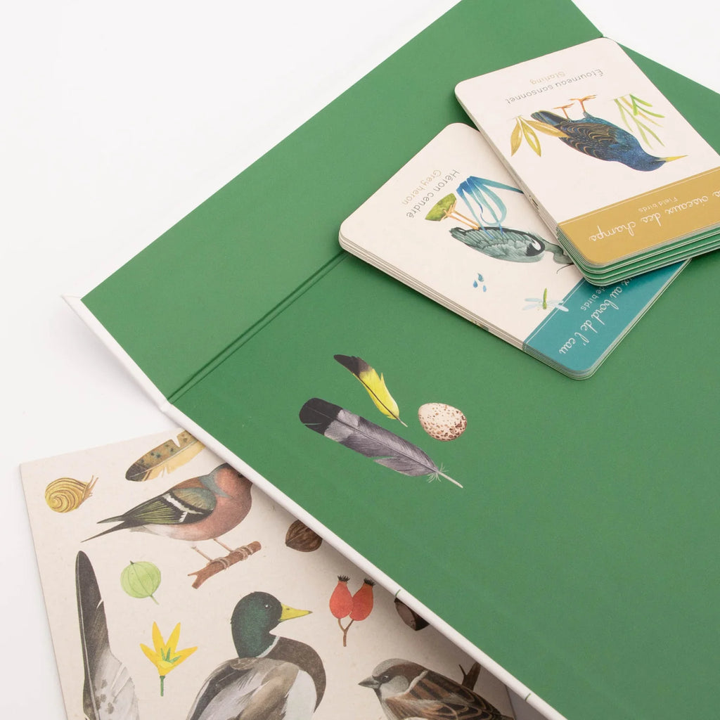 Caja Descubre los Pájaros El Jardín