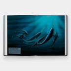 Mysteries of Marine Mammals