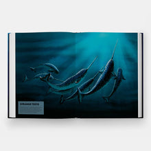 Mysteries of Marine Mammals