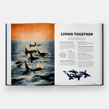 Mysteries of Marine Mammals