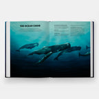 Mysteries of Marine Mammals