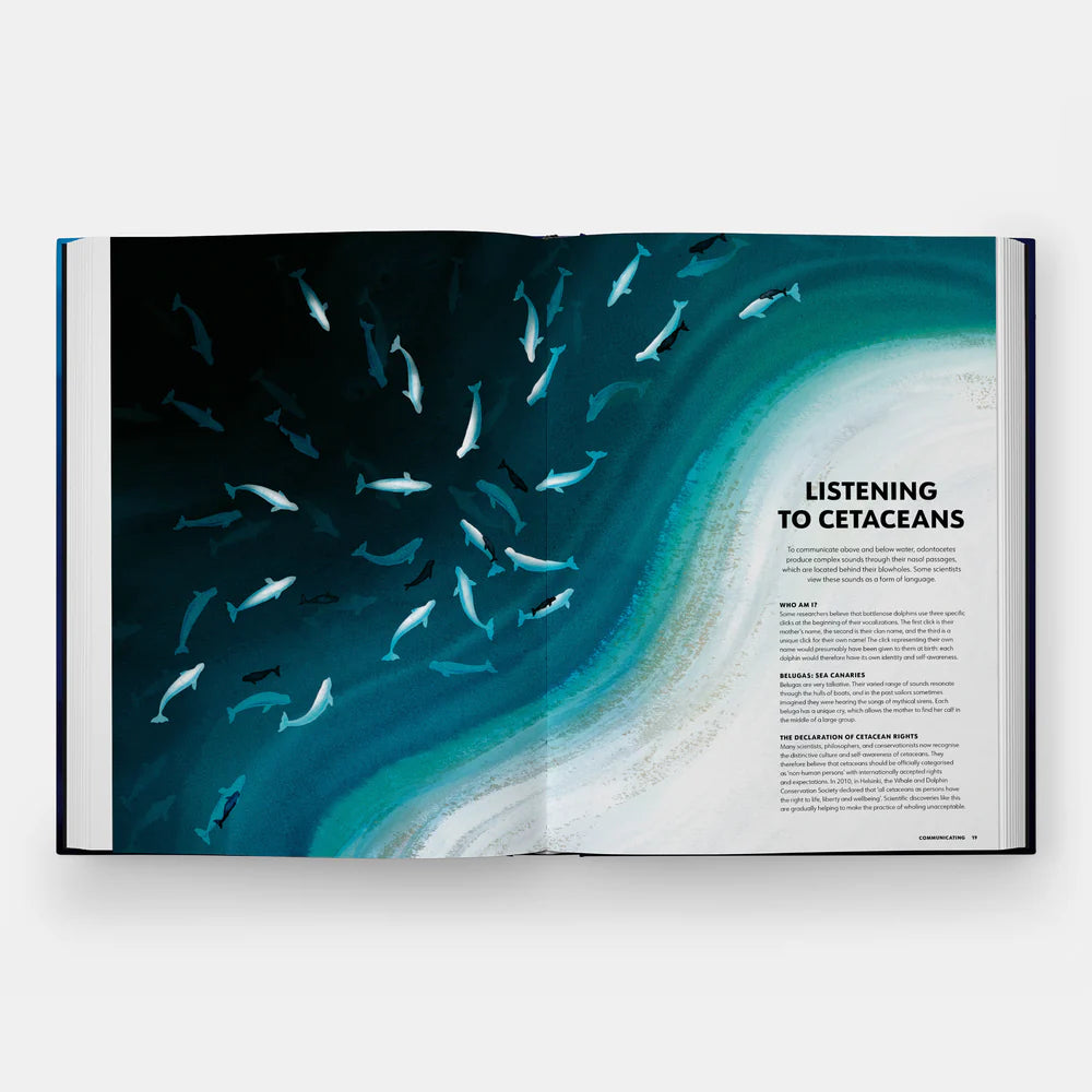 Mysteries of Marine Mammals