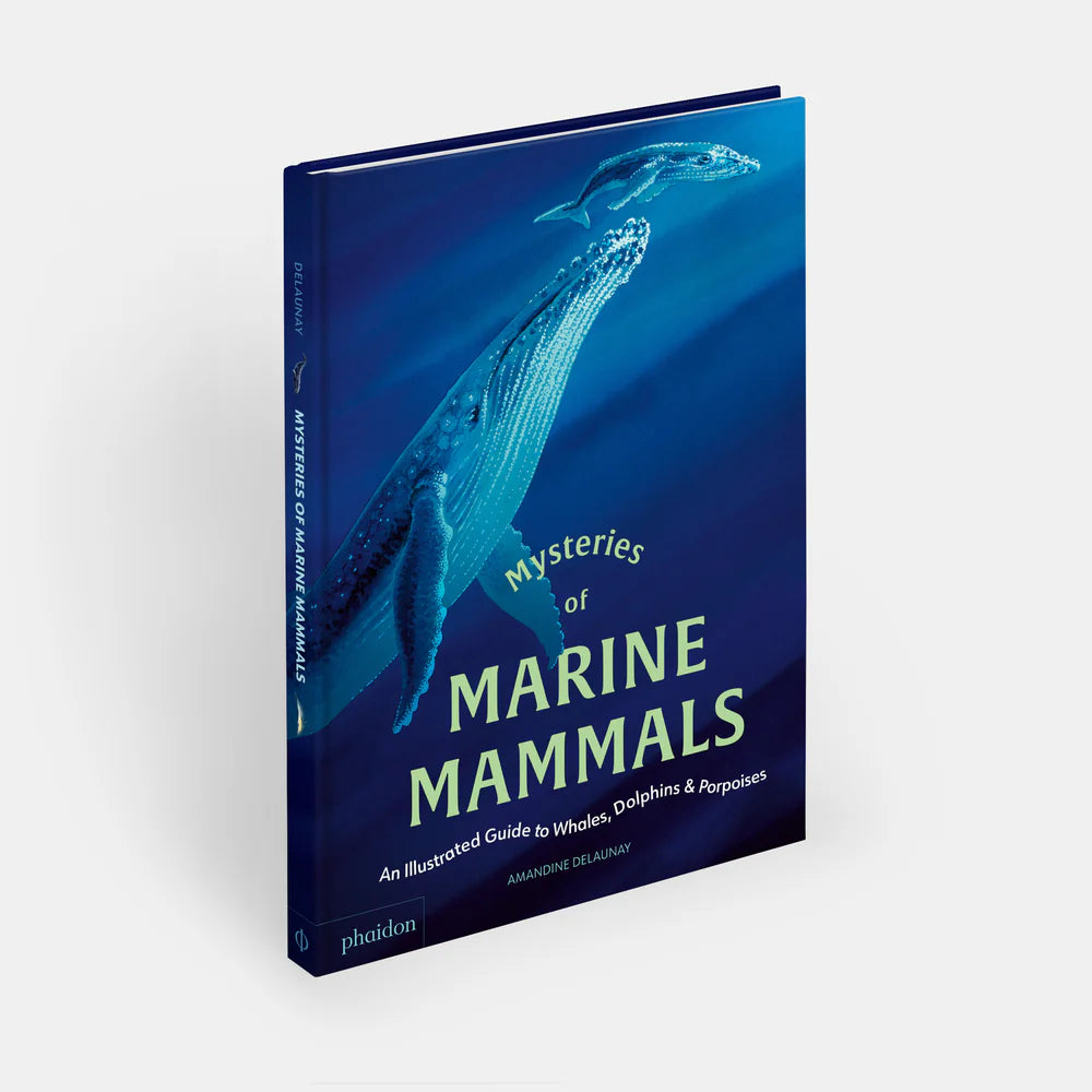 Mysteries of Marine Mammals