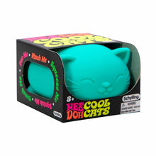 Cool Cats NeeDoh (4 colores)