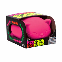 Cool Cats NeeDoh (4 colores)