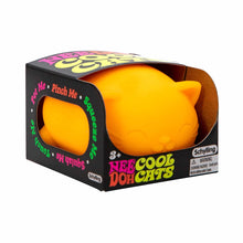 Cool Cats NeeDoh (4 colores)
