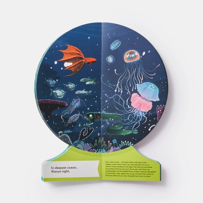 Our Underwater World
