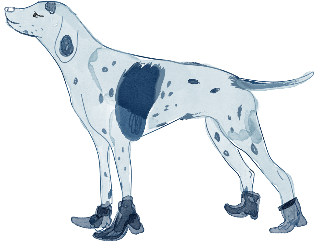 Perro Azul