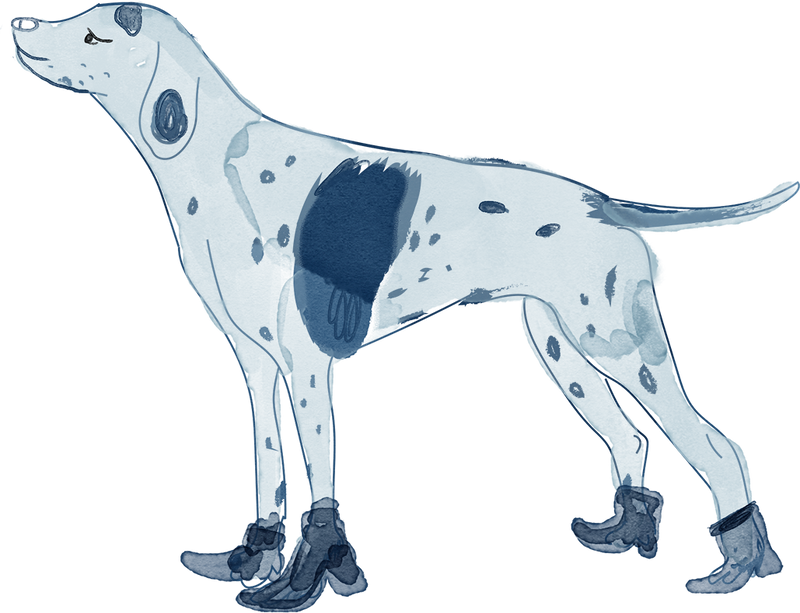 Perro Azul