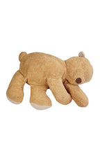 Puff Sleepy Bear