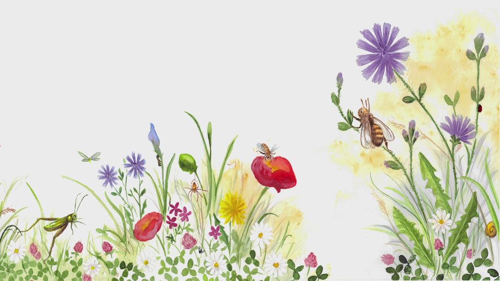 La abeja Flora y el prado de las cinco flores