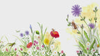 La abeja Flora y el prado de las cinco flores
