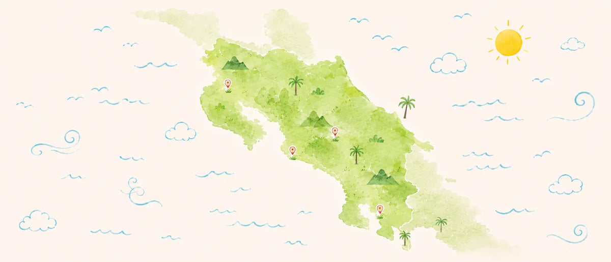 Store  map