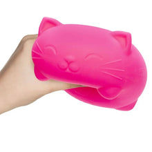 Super NeeDoh Cool Cats (4 colores)