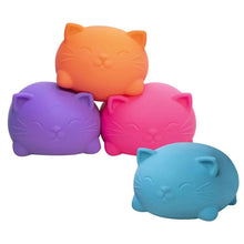 Super NeeDoh Cool Cats (4 colores)