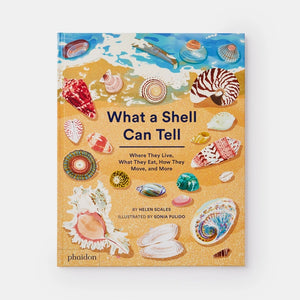 What A Shell Can Tell