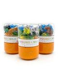 Zoo Grab & Go Dough Jar
