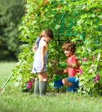Domed Garden Fort