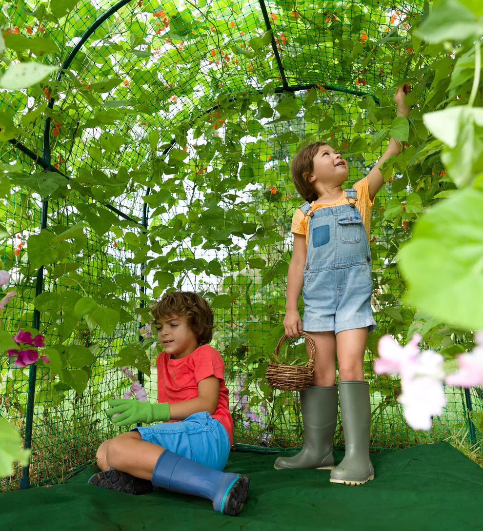 Domed Garden Fort