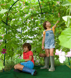 Domed Garden Fort