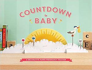 Countdown to Baby: A Decorative Paper Pregnancy Tracker