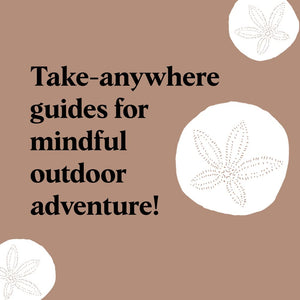 Pocket Nature Series: Beachcombing: Cultivate Mindful Moments by the Shore