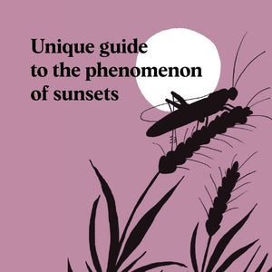 Pocket Nature Series: Sunset Seeking: Find Inspiration in the Beauty of the Sun's Cycle