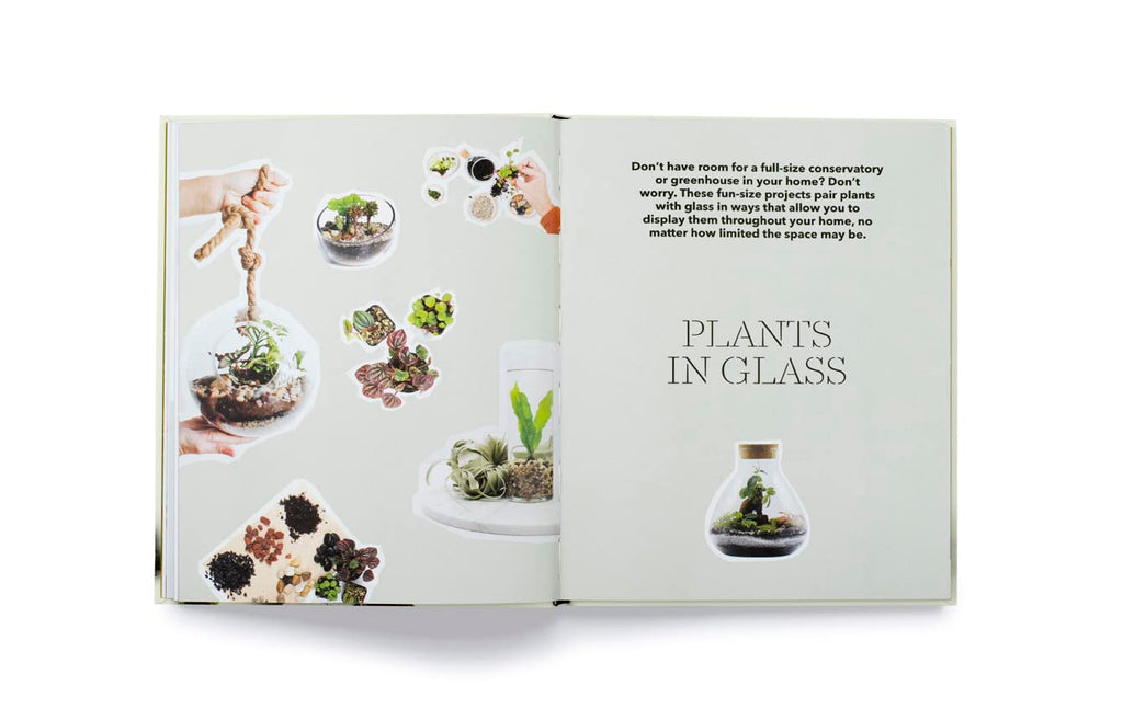 How To Plant a Room: And Grow a Happy Home