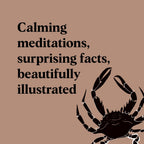 Pocket Nature Series: Beachcombing: Cultivate Mindful Moments by the Shore