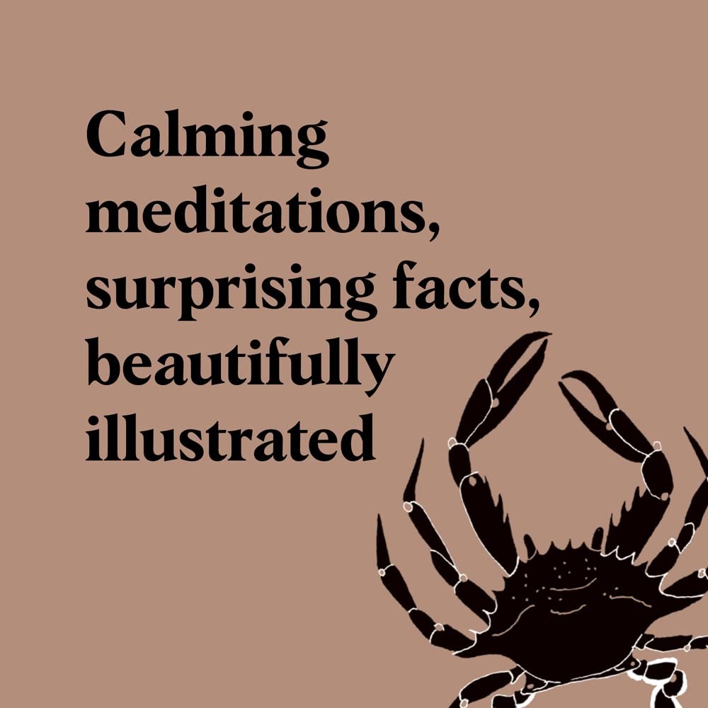 Pocket Nature Series: Beachcombing: Cultivate Mindful Moments by the Shore