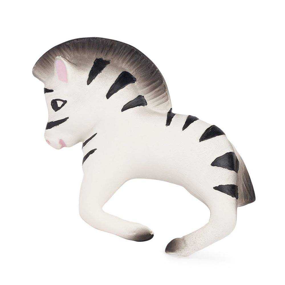 Zoe the Zebra