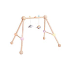 Play Gym - Pastel