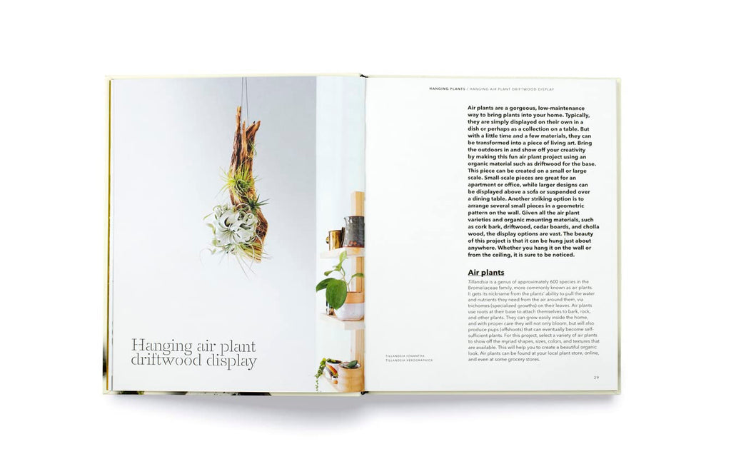 How To Plant a Room: And Grow a Happy Home