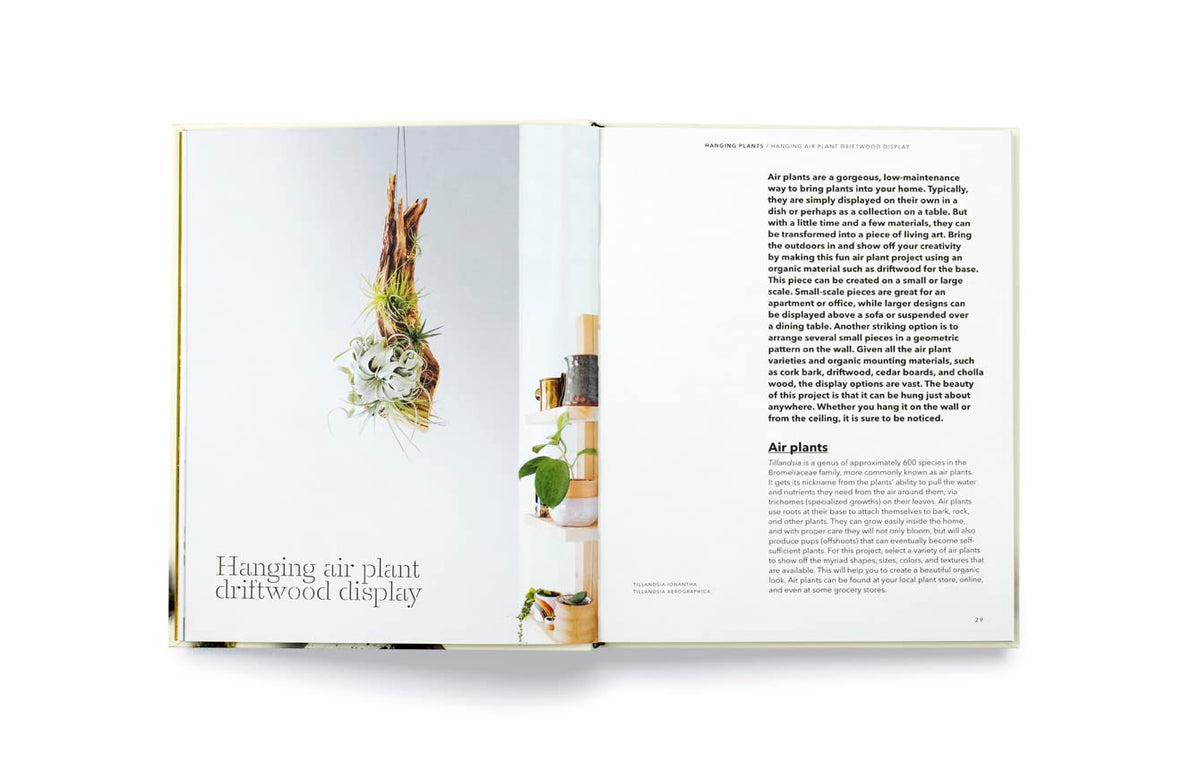 How To Plant a Room: And Grow a Happy Home